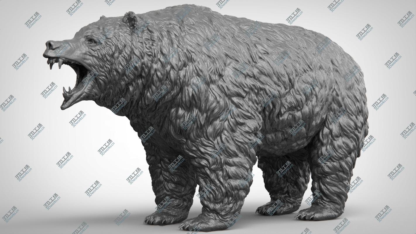images/goods_img/202104094/Bear Realistic 3D model/3.jpg